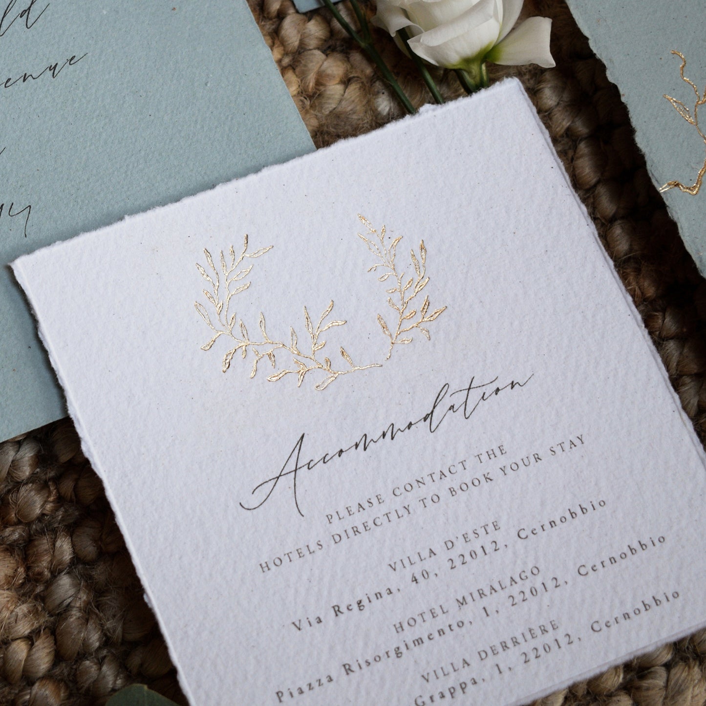 Olive Details Card