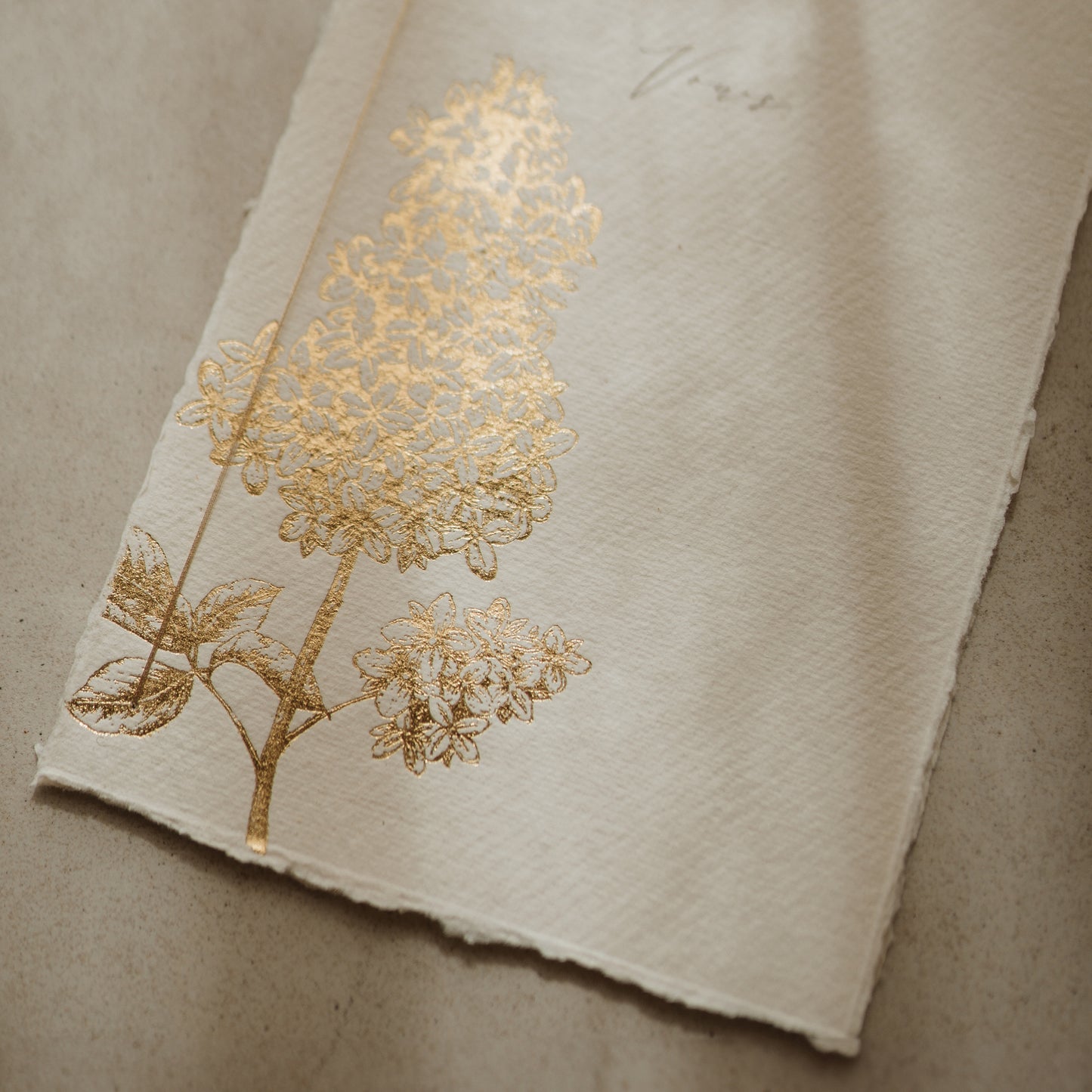 Floral Vow Books