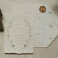 Petit Pois Invitation with Patterned Envelope