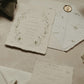 Petit Pois Invitation with Patterned Envelope
