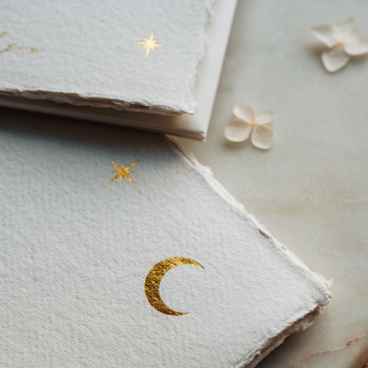 Moon & Stars Thank You Cards