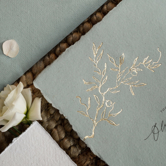 Olive Sample Full Suite