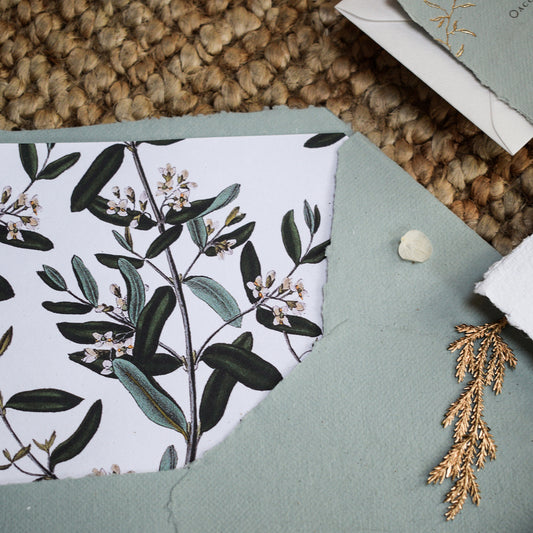 Olive Invitation with Patterned Envelope
