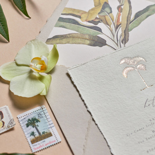 Palma Details Card