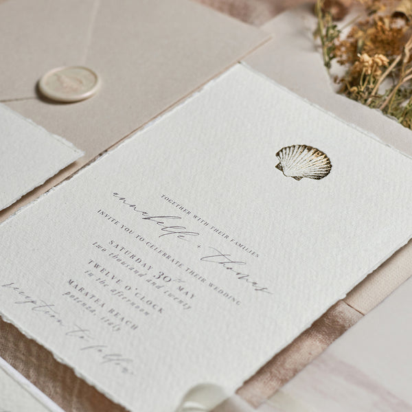 Shell Invitation – Paige & Co